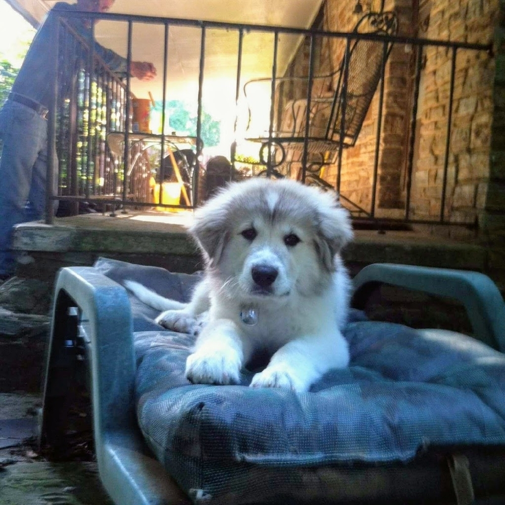 2015-2021 - Picture 1 of 2